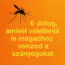 🦟 6 dolog, amivel véletlenül is magadhoz vonzod a szúnyogokat