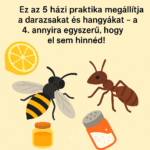 ő