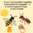 🐜🐝 „Ez az 5 házi praktika megállítja a darazsakat és hangyákat – a 4. annyira egyszerű, hogy el sem hinnéd!”