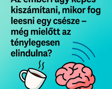 🧠 Tudtad, hogy az emberi agy képes kiszámítani, mikor fog leesni egy csésze – még mielőtt az ténylegesen elindulna?