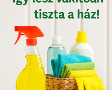 „Ez az 1:1 arányú trükk nyáron friss illatot ad a lakásnak – vegyszerek nélkül!”