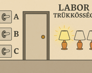 Találd ki, melyik kapcsoló melyik lámpát irányít – garantáltan, egyetlen bejárással.